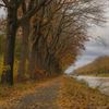 Pelt - Herfst aan het kanaal