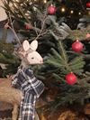 Oudsbergen - Heb je al een kerstboom?