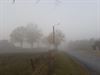 Beringen - Een mistige ochtend