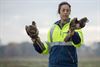 Peer - Op de vliegbasis worden vogels gevangen