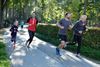 Beringen - Onderzoek naar loop- en wandelsport