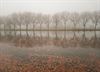 Bocholt - Mist boven het kanaal