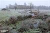 Hamont-Achel - Winterlandschap aan Achelse Kluis