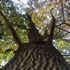 Bocholt - 'Herstelplan biodiversiteit dringend nodig'