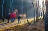 Lommel - Wandelen in de ochtendkoude