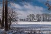 Oudsbergen - Winter in Gruitrode