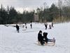 Pelt - Sneeuwplezier in het Heesakkerpark