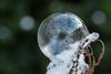 Hamont-Achel - Bevroren zeepbellen