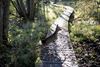 Beringen - Deel je natuurwaarnemingen