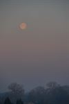 Beringen - Volle maan in de ochtend