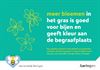 Beringen - Sensibiliseringscampagne op kerkhoven