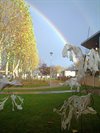 Overpelt - Een regenboog boven het kunstwerk
