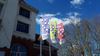 Beringen - Kunstproject op stadsvlaggen