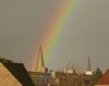Neerpelt - Alle kleur komt van boven