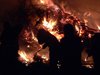 Overpelt - Vanavond gezien...