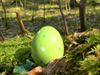 Beringen - Paaswandeling in groepjes van drie