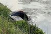 Pelt - Een bever in het kanaal