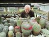 Beringen - Cactusverzamelaars tonen unieke collecties