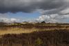 Houthalen-Helchteren - Nationaal Park terug open