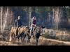 Lommel - Bijzonder fotoboek over onze Lommelse Sahara