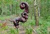 Hamont-Achel - Een bok in het bos