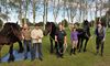 Neerpelt - Een echte paardenfluisteraar