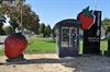 Hamont-Achel - Aardbeien uit de automaat