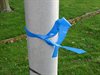 Neerpelt - Ondertussen, in St.-Huibrechts-Lille...