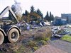 Hamont-Achel - Vandaag gezien...
