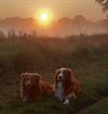 Pelt - Samen naar de zonsopgang kijken