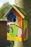 Hamont-Achel - Daar wordt een vogel vrolijk van