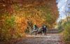 Lommel - De herfst is in het land...