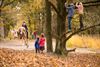 Peer - Meer toeristen bezoeken Limburg