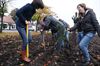 Lommel - Samen bomen planten, ja gezellig