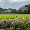 Beringen - Nieuw bestek voor het maaien van bermen