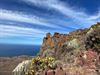 Pelt - Met vakantiegroeten uit... Tenerife