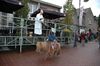 Neerpelt - Dierenzegening in SHLille