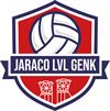 Genk - Volleybal: LVG Genk - Antwerp 3-0