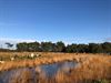 Pelt - Dag van de Natuur in het Hageven