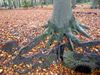 Neerpelt - Met de groeten uit ... Noorderwijk