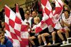 Pelt - Handbal: Sporting klopt Bocholt
