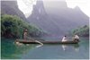 Pelt - Morgen in Zebracinema: 'The Painted Veil'
