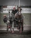 Bocholt - Een jaar vol paardenfoto's