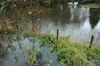 Neerpelt - Warmbeek buiten haar oevers