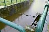 Pelt - Regenval: waterpeil Dommel daalt