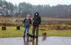 Beringen - Wandelend Paal wandelt in Koersel