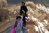 Neerpelt - Zebracinema vanavond: 'Treeless Mountain'