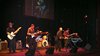 Pelt - The New Fools woensdag op TVL