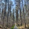 Oudsbergen - 'Laat een bos met rust'