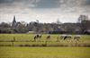 Lommel - Weer wat natuur op zondag